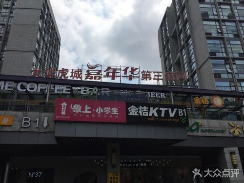 大华虎城app下载（大华虎城影城排片表）