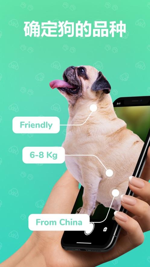 识狗软件下载（识犬软件app）