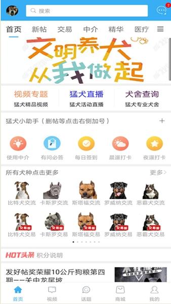 猛犬俱乐部app怎么下载（猛犬俱乐部打不开）