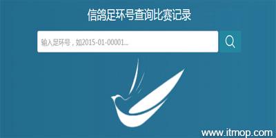 下载查询信鸽软件（信鸽查询软件zuhuanhao）