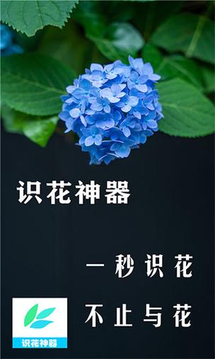 识花君软件下载安装（识花君下载官网免费下载）