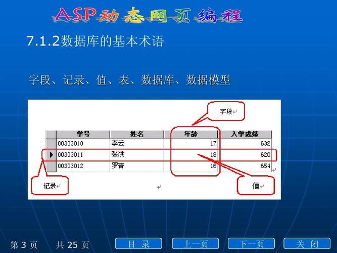 网站编程-网站编程入门教程