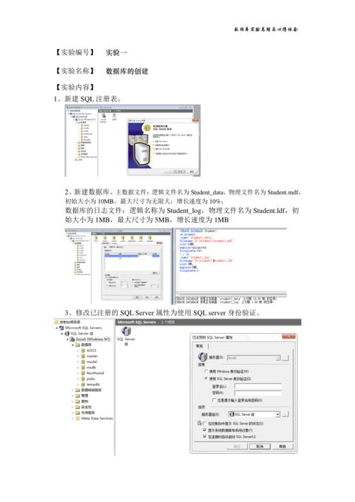 数据库的建立-数据库的建立和维护实验心得