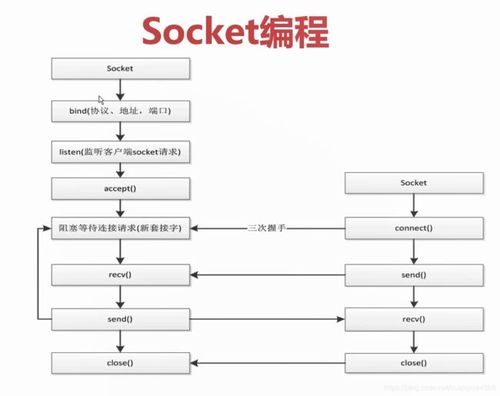 socket编程实验-socket编程入门