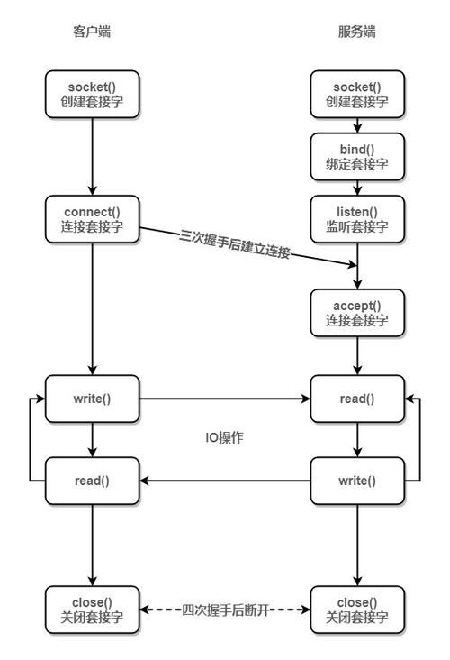 socket编程实验-socket编程基本流程