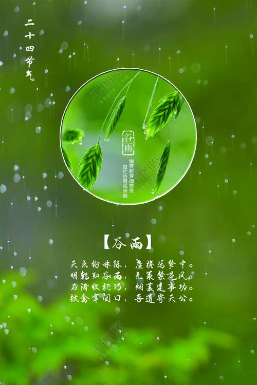 下载谷雨软件-谷雨助手