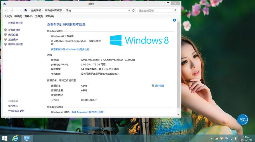 关于windows8.1正式版64的信息