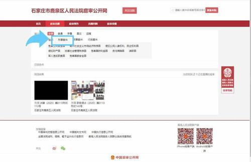 中国庭审公开网app下载-刑事案件查询公开网