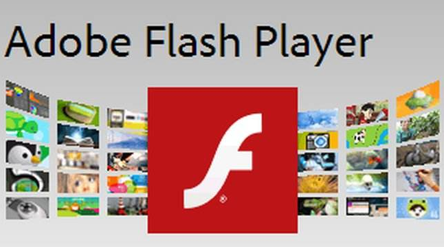 flash动画软件下载，flash动画下载软件官网